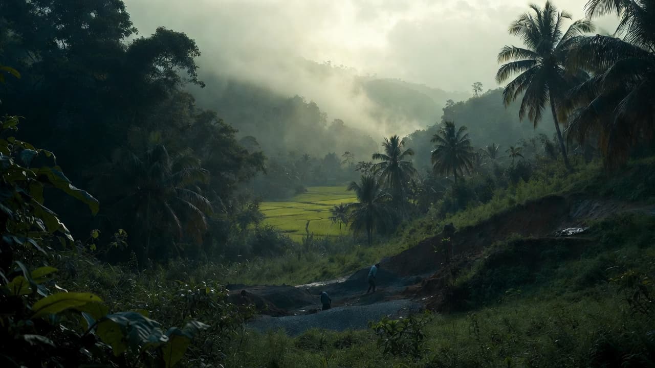 Artisanal gem mining in Sri Lanka